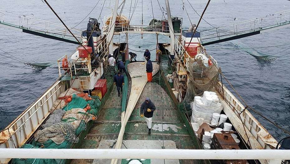 La Asociación de Capitanes de Pesca se separó del paro del SOMU - Sonido  Gremial - La Palabra de los Verdaderos Protagonistas